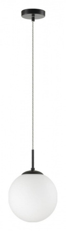 Фото Подвесной светильник Lumion Suspentioni 6510/1B
