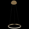 Фото Подвесной светильник Loft it Ring 10014S