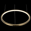 Фото Подвесной светильник Loft it Ring 10014S