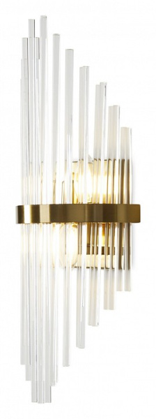 Фото Накладной светильник Freya Agora FR5216WL-02BS