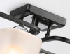 Открыть Накладной светильник Ambrella Light TR TR303222 Фото Накладной светильник Ambrella Light TR TR303222
