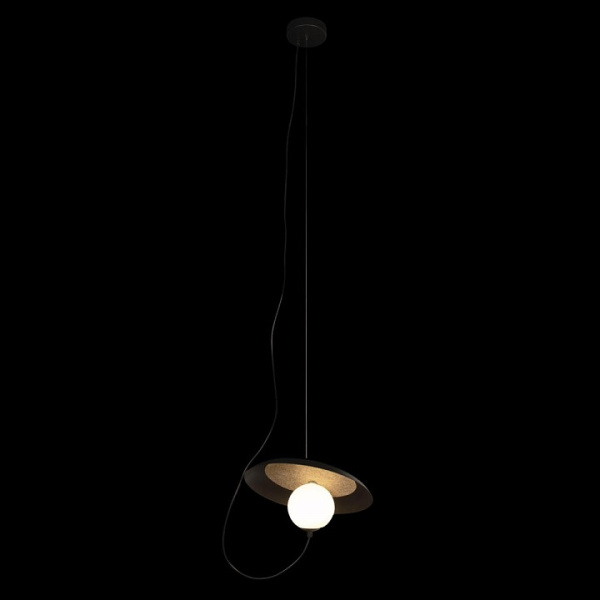 Фото Подвесной светильник Loft it Wonders 10237P Black