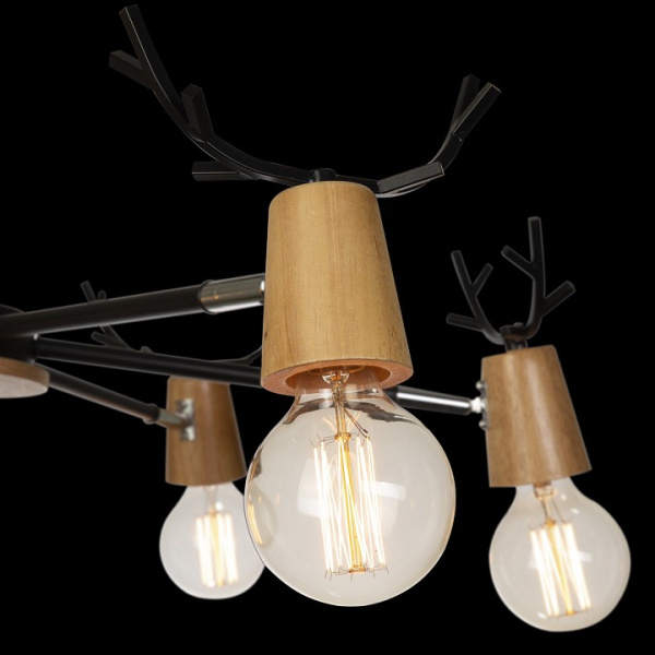 Открыть Люстра на штанге Loft it Sven 10024/6 Black Фото Люстра на штанге Loft it Sven 10024/6 Black
