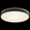 Открыть Накладной светильник Loft it Axel 10001/36 Grey Фото Накладной светильник Loft it Axel 10001/36 Grey