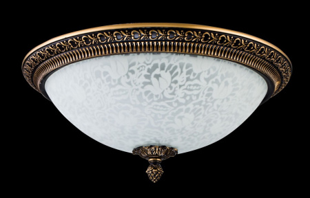 Фото Накладной светильник Maytoni Pascal C908-CL-03-R