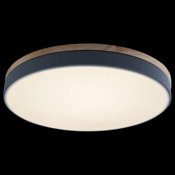 Фото Накладной светильник Loft it Axel 10001/36 Grey