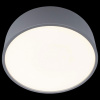 Открыть Накладной светильник Loft it Axel 10201/350 Grey Фото Накладной светильник Loft it Axel 10201/350 Grey