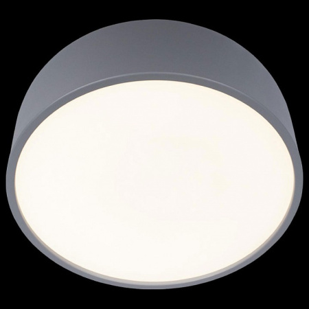 Открыть Накладной светильник Loft it Axel 10201/350 Grey Фото Накладной светильник Loft it Axel 10201/350 Grey