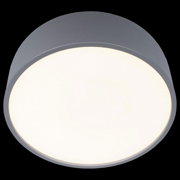 Открыть Накладной светильник Loft it Axel 10201/350 Grey Фото Накладной светильник Loft it Axel 10201/350 Grey