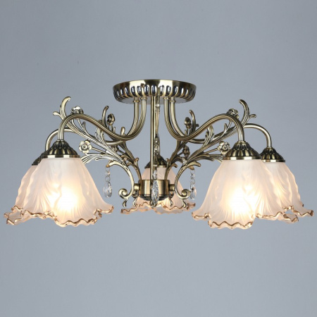 Фото Потолочная люстра Omnilux Petrara OML-54807-05