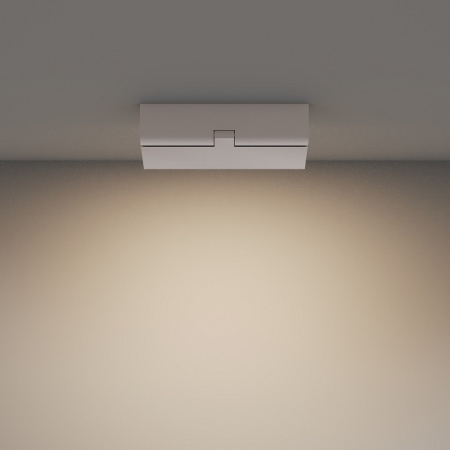 Фото Накладной светильник Maytoni Basis Rot C133CL-12W3K-W