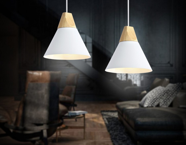 Фото Подвесной светильник Ambrella Light TR TR8195