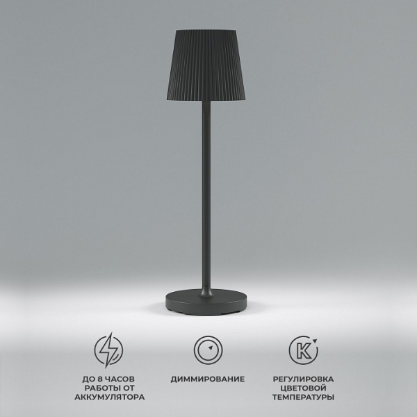 Фото Настольная лампа декоративная Elektrostandard Mist a063970