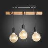 Открыть Подвесной светильник EVOLUCE Bagetti SL1142.403.03 Фото Подвесной светильник EVOLUCE Bagetti SL1142.403.03
