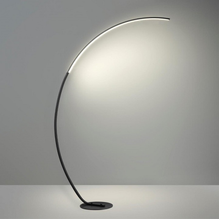 Фото Торшер Lumion Ledio 5676/21FL