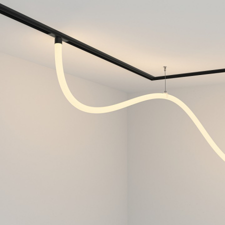 Фото Подвесной светильник Maytoni Tau TR101-2-50W3K-B