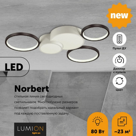 Фото Потолочная люстра Lumion Norbert 5253/80CL