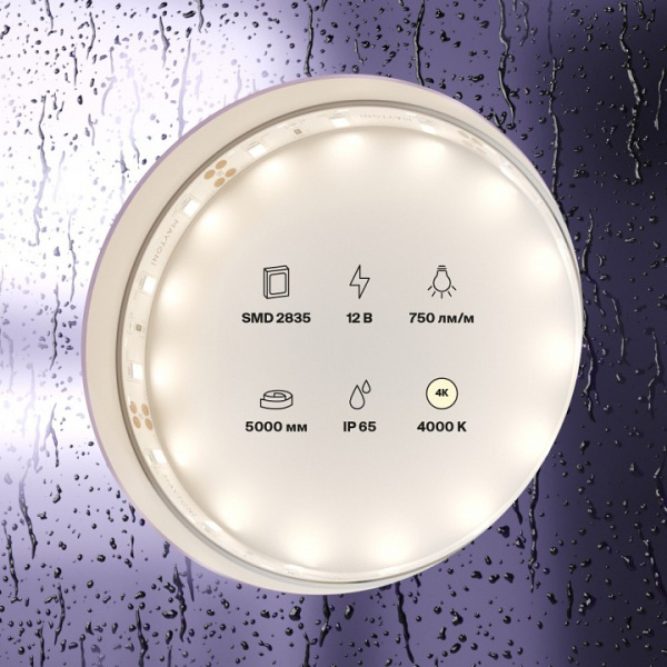 Фото Лента светодиодная Maytoni Led strip 20005