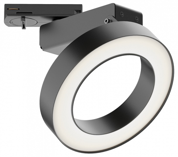 Фото Светильник на штанге Maytoni Rim TR044-1-12W3K-B