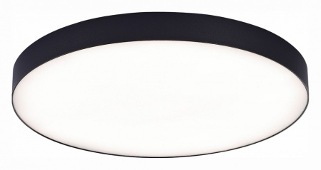 Фото Накладной светильник ST-Luce ST606 ST606.442.96