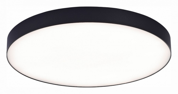 Фото Накладной светильник ST-Luce ST606 ST606.442.96