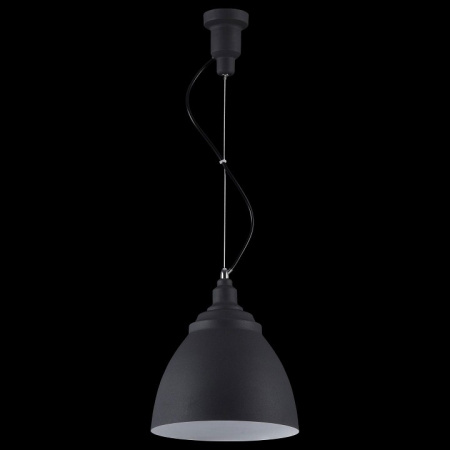 Фото Подвесной светильник Maytoni Bellevue P534PL-01B