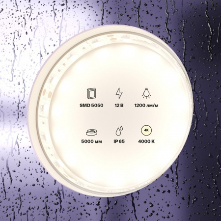 Фото Лента светодиодная Maytoni Led strip 10132