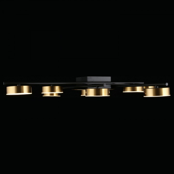 Фото Потолочная люстра Aployt Delayn APL.042.07.56