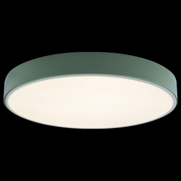 Открыть Накладной светильник Loft it Axel 1 10002/24 Green Фото Накладной светильник Loft it Axel 1 10002/24 Green