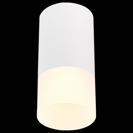 Фото Накладной светильник ST-Luce ST100 ST100.512.01