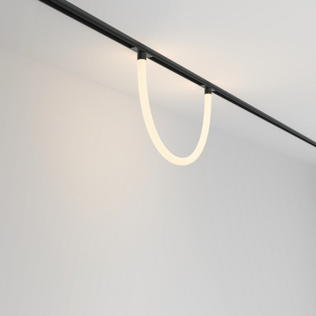 Фото Подвесной светильник Maytoni Tau TR101-2-20W3K-B