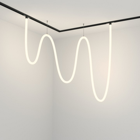 Фото Подвесной светильник Maytoni Tau TR101-2-100W4K-B