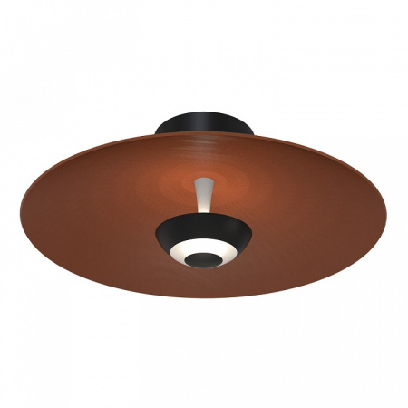 Фото Накладной светильник Favourite Rueda 4289-1W