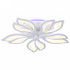 Накладной светильник Ambrella Light FA FA543 Накладной светильник Ambrella Light FA FA543