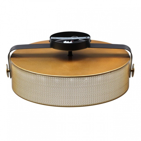 Фото Накладной светильник Lumion Drumy 6597/40L