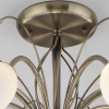 Фото Люстра на штанге Eurosvet Ginevra 30280/8 античная бронза
