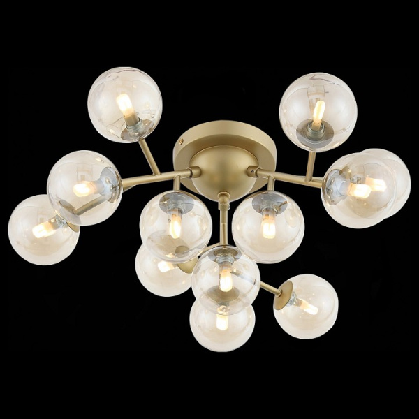 Фото Потолочная люстра ST-Luce Pallеre SL438.202.12