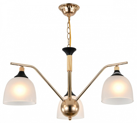 Фото Подвесная люстра Escada Actinidia 2123/3P