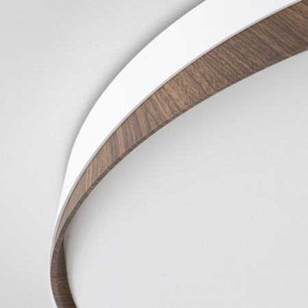 Фото Накладной светильник Citilux BONNY CL754450G