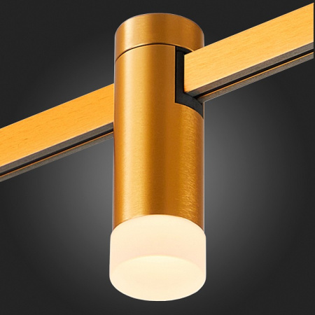 Фото Накладной светильник ST-Luce FARM ST812.206.03