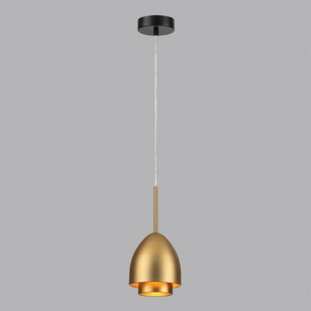 Фото Подвесной светильник Lumion Avrora 8001/1A