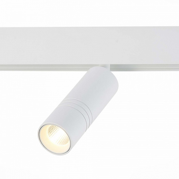 Фото Светильник на штанге ST-Luce Lemmi ST365.536.12