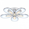 Открыть Накладной светильник Ambrella Light FA FA469 Фото Накладной светильник Ambrella Light FA FA469