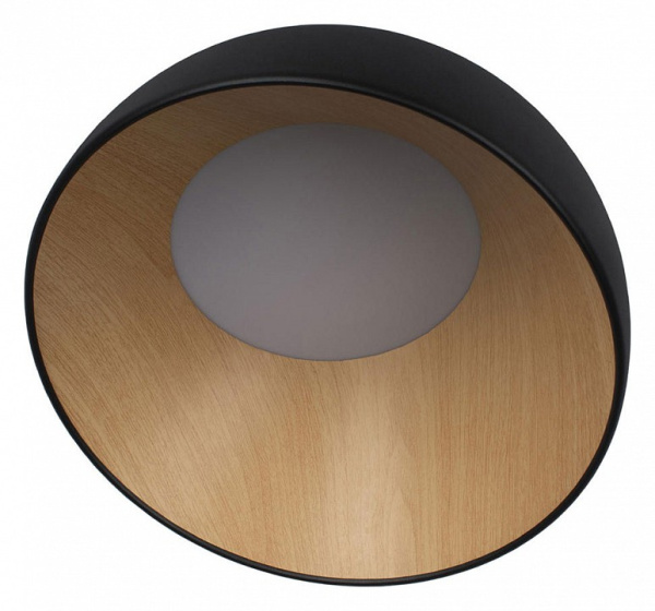Открыть Накладной светильник Loft it Egg 10197/350 Black Фото Накладной светильник Loft it Egg 10197/350 Black
