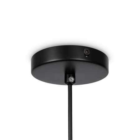 Фото Подвесной светильник Freya Eleon FR5218PL-01B1