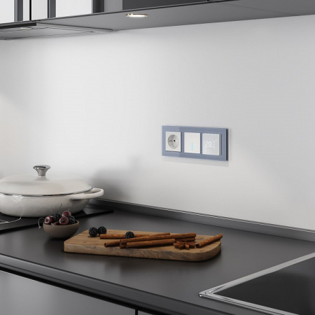 Фото Выключатель одноклавишный с подсветкой без рамки Werkel серебряный W4510006