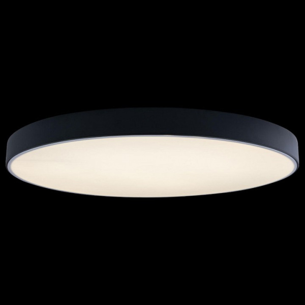 Фото Накладной светильник Loft it Axel 1 10002/48 Black