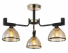 Открыть Люстра на штанге Ambrella Light TR TR9098 Фото Люстра на штанге Ambrella Light TR TR9098
