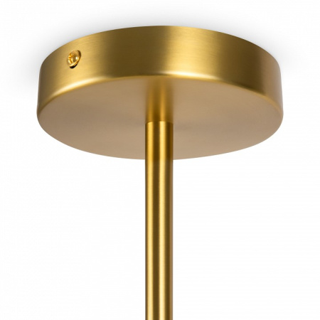 Фото Люстра на штанге Freya Branches FR5253PL-06BS