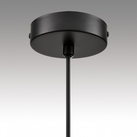 Фото Подвесной светильник Lumion Natalina 8232/1